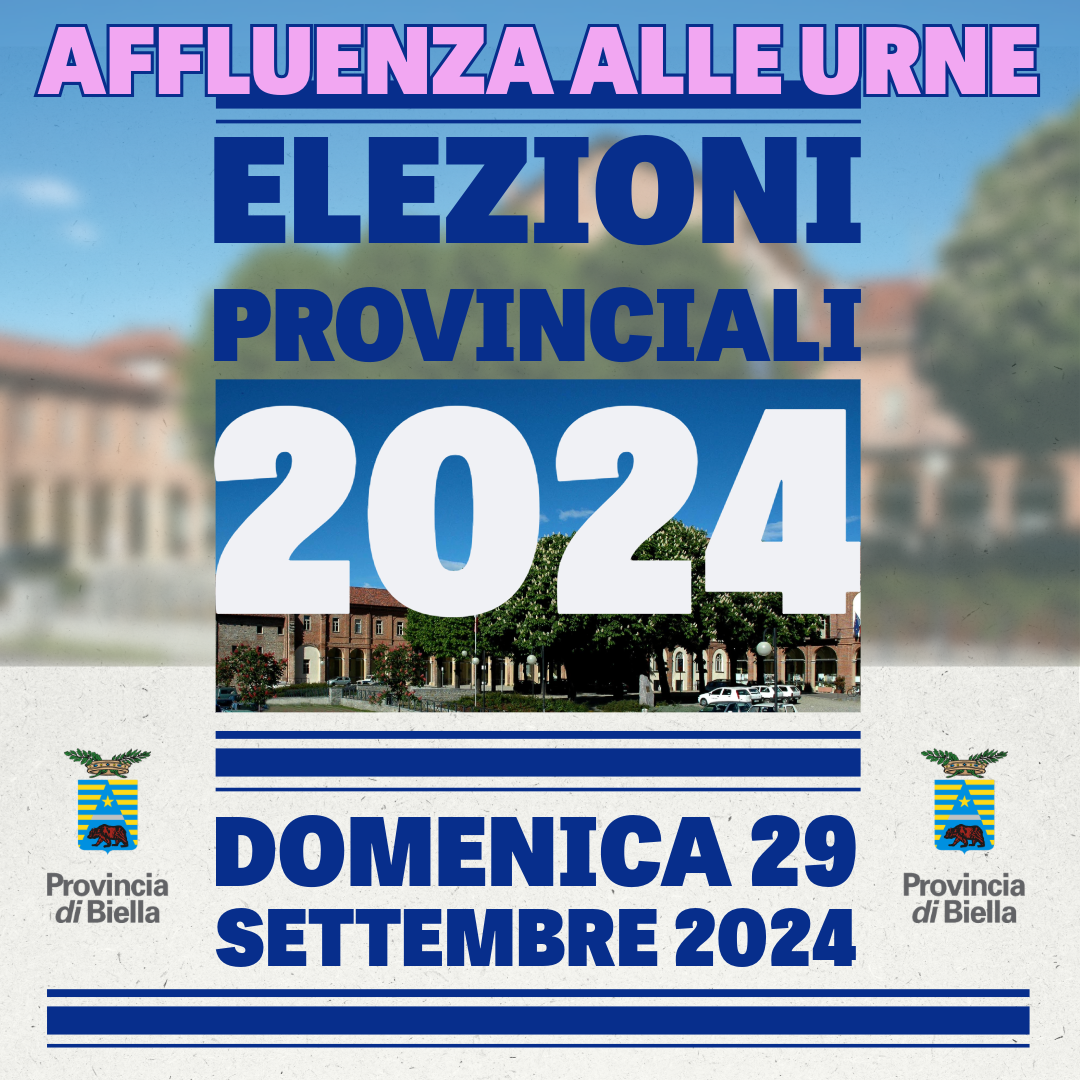 elezioni 2024_ affluenza alle urne